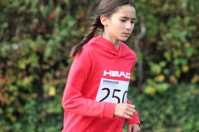 CrossCountryBezirksmeisterschaft_2024